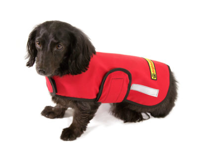 Insulated Dog Jacket