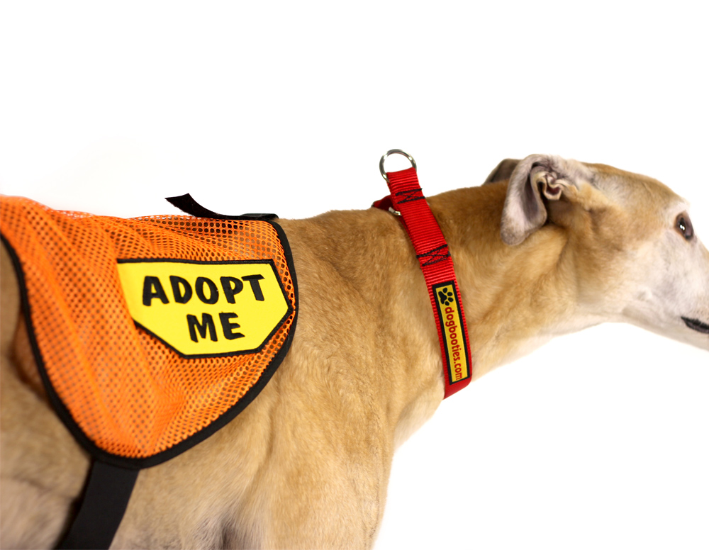 Adopt Me Dog Vest Adopt Me Dog Jacket for Foster Dogs 